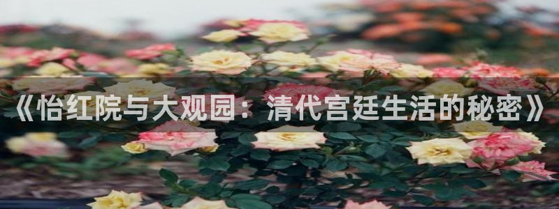 超悟空三七全部视频：《怡红院与大观园：清代宫廷生活的秘密》