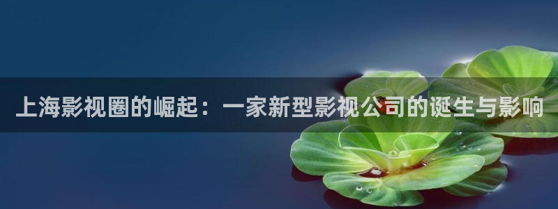 悟空你看视频：上海影视圈的崛起：一家新型影视公司的诞生与影响