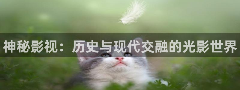 悟空影视免费观看：神秘影视：历史与现代交融的光影世界