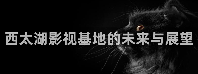 悟空影院免费观看：西太湖影视基地的未来与展望