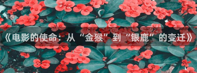 悟空影视免费观看视频 mp4：《电影的使命：从“金猴”到“银鹿”的变迁》