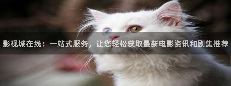 悟空电影天堂：影视城在线：一站式服务，让您轻松获取最新电影资讯和剧集推荐