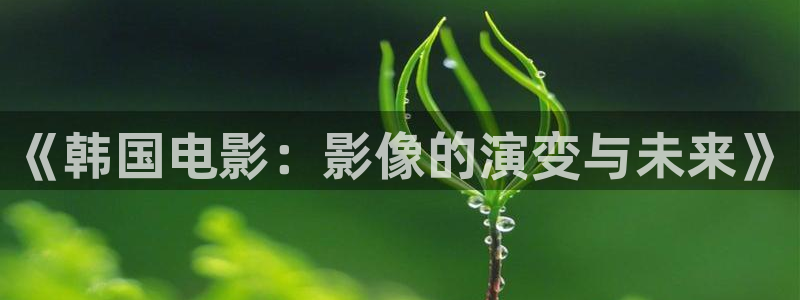 悟空影视大全最新版：《韩国电影：影像的演变与未来》