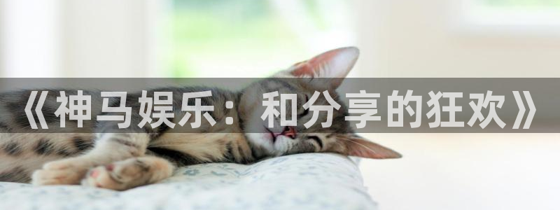 悟空的视频：《神马娱乐：和分享的狂欢》