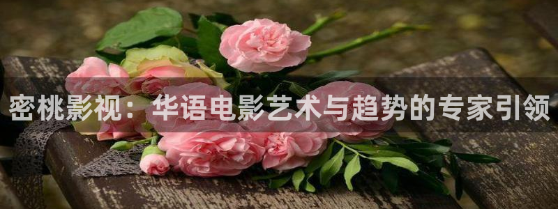 悟空老师的视频：密桃影视：华语电影艺术与趋势的专家引领